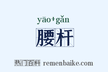 腰杆是什么意思的图片